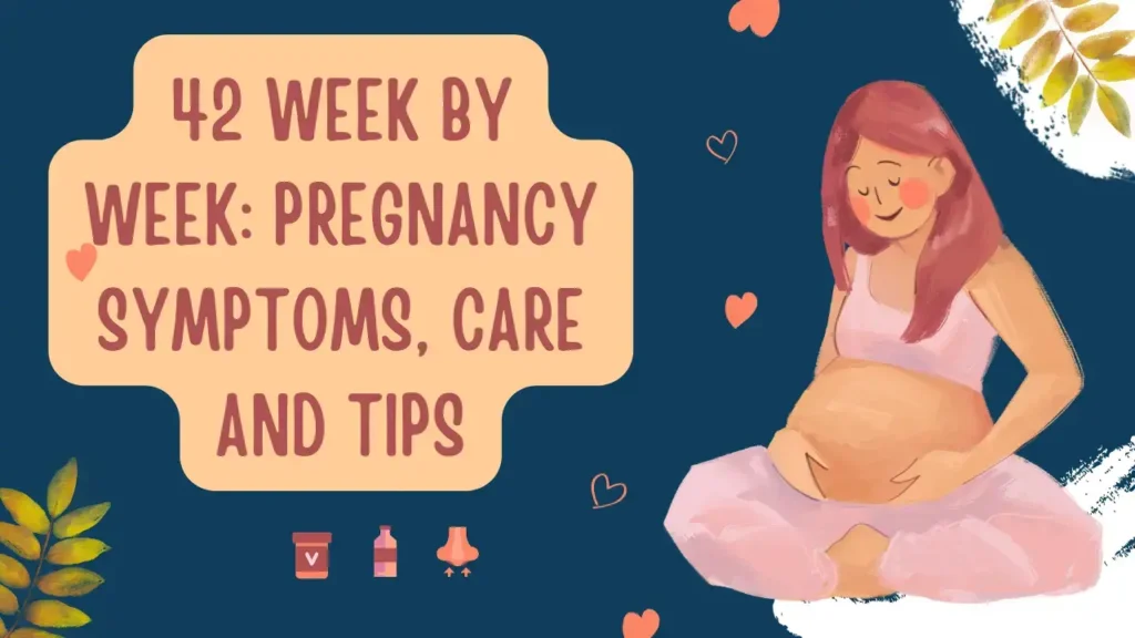 42 Week By Week: Pregnancy Symptoms, Care And Tips