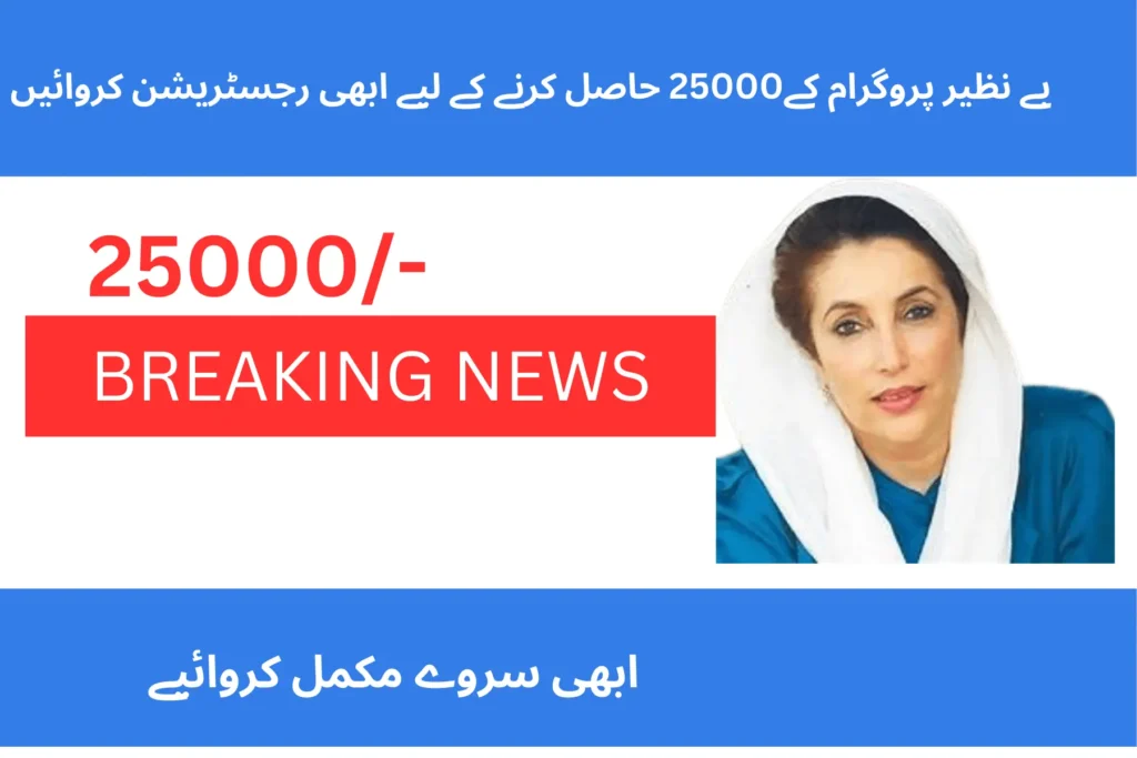 benazir income support